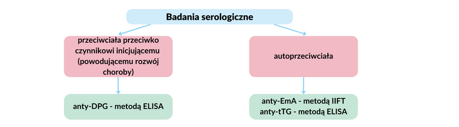 Kopia Patomechanizm.png
