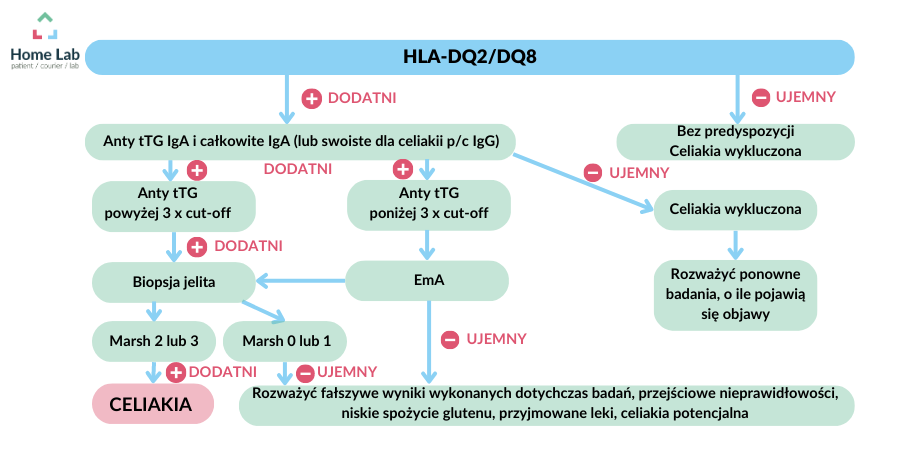 Patomechanizm (6).png