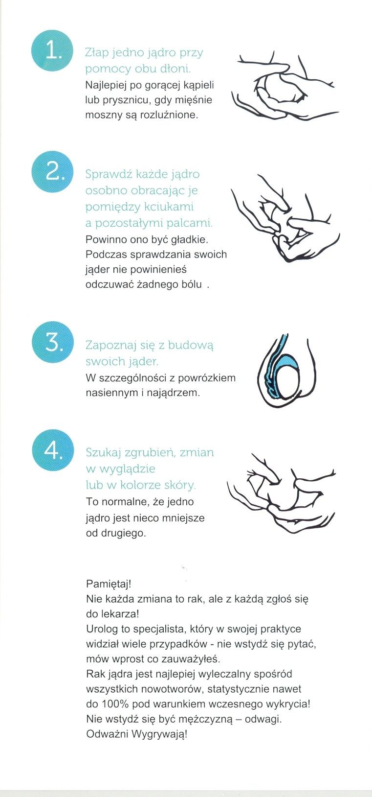 Samobadanie jąder.jpg